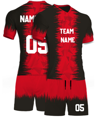 kabaddi Kit Jersey or Sports T shirt with your name and number(fire_birds)